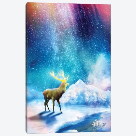 Deer Aurora Canvas Print #DVE188} by Diogo Verissimo Canvas Art