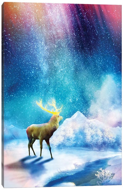 Deer Aurora Canvas Art Print - Aurora Borealis Art