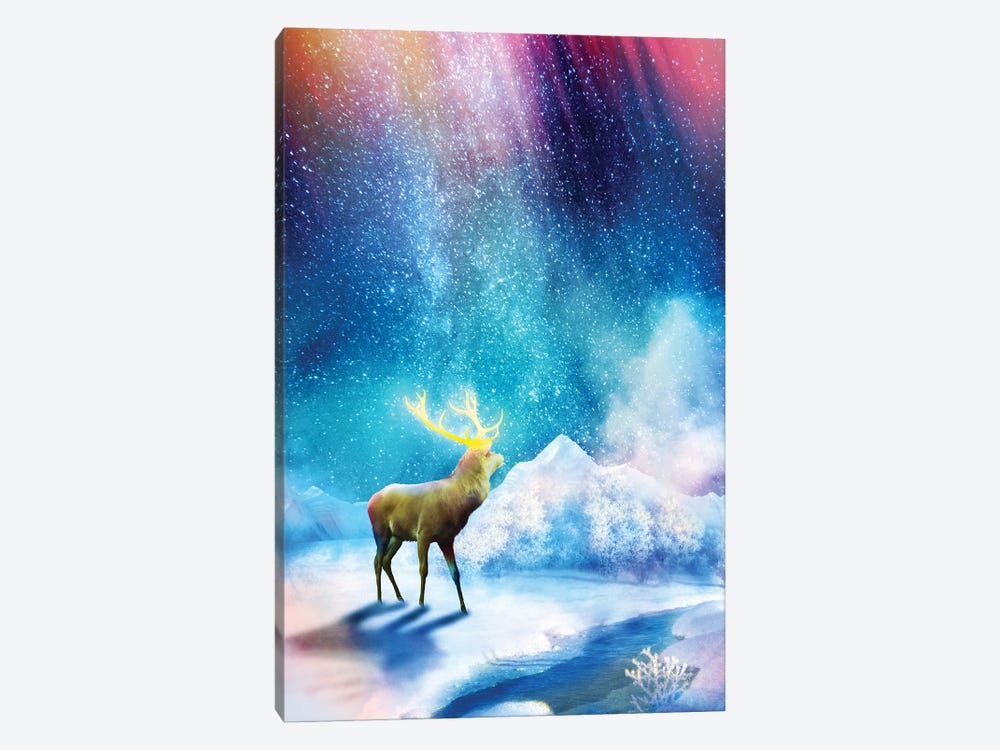 Deer Aurora by Diogo Verissimo 1-piece Canvas Art Print