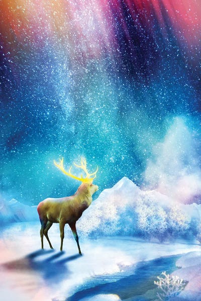 Diogo Verissimo: Deer Aurora by Diogo Verissimo