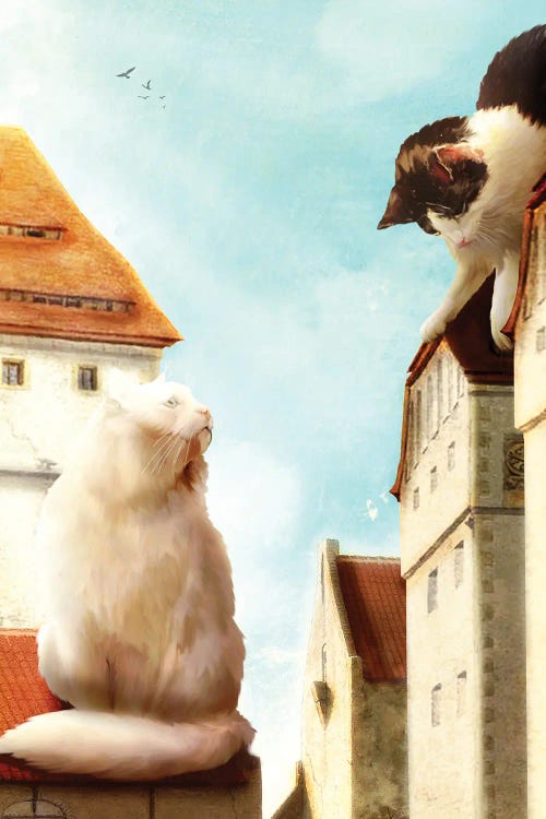 Feline Neighbours by Diogo Verissimo wall art