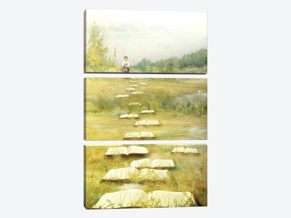 Trailing Stories by Diogo Verissimo 3-piece Canvas Print