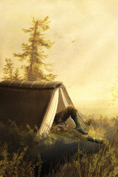 Wilderness Reading by Diogo Verissimo wall art
