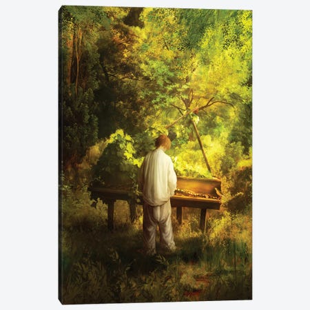 Symphony Of The Forest Canvas Print #DVE200} by Diogo Verissimo Canvas Art Print