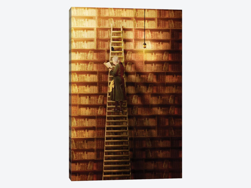 The Librarian by Diogo Verissimo 1-piece Canvas Art Print