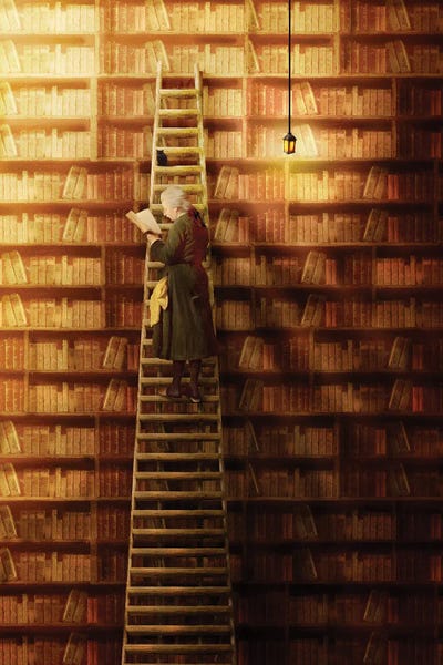 Reading Nook: The Librarian by Diogo Verissimo