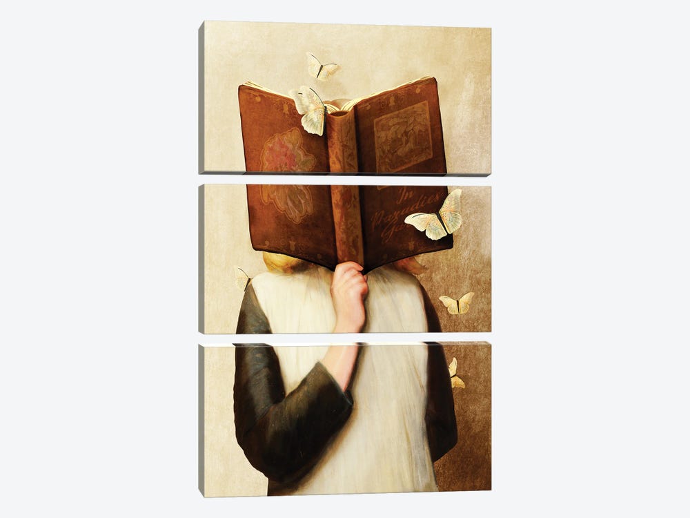 The Reader by Diogo Verissimo 3-piece Canvas Art