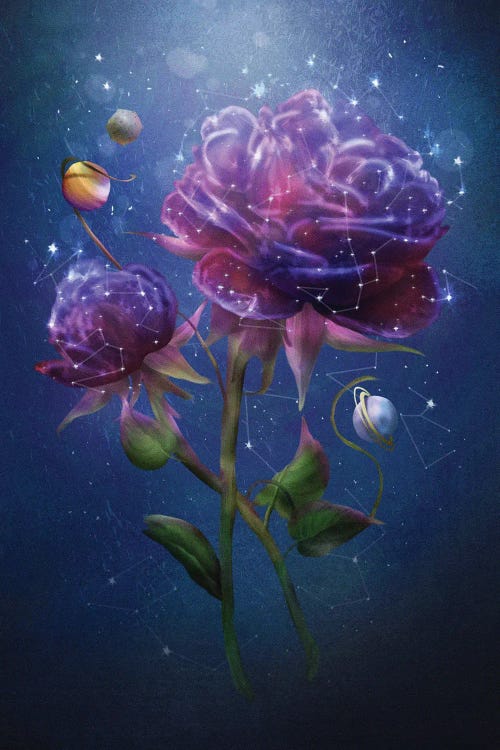 Cosmic Flower by Diogo Verissimo wall art