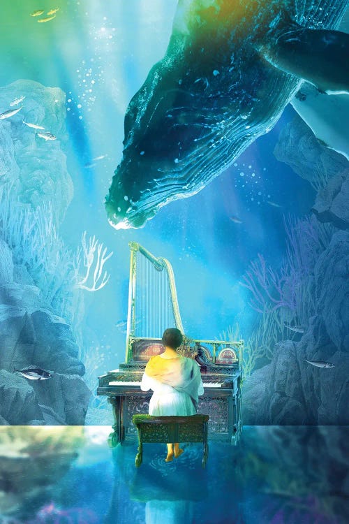 A Lullaby For Whales