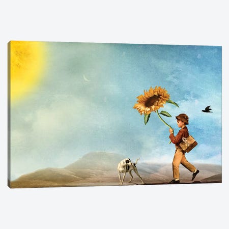 Follow The Sun Canvas Print #DVE27} by Diogo Verissimo Canvas Wall Art