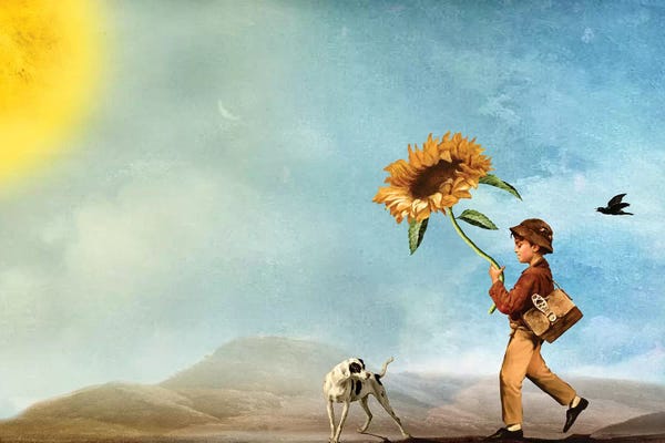 Imagination: Follow The Sun by Diogo Verissimo