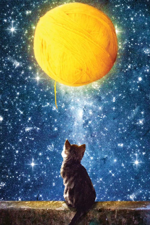 A Yarn Of Moon by Diogo Verissimo wall art