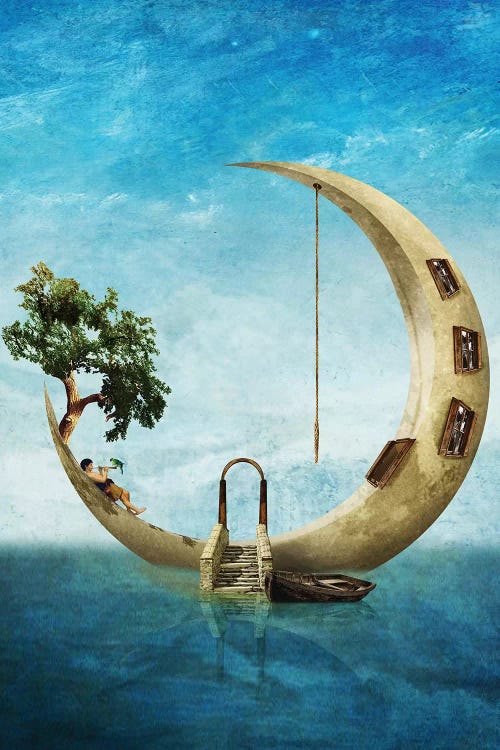 Home Sweet Moon by Diogo Verissimo wall art
