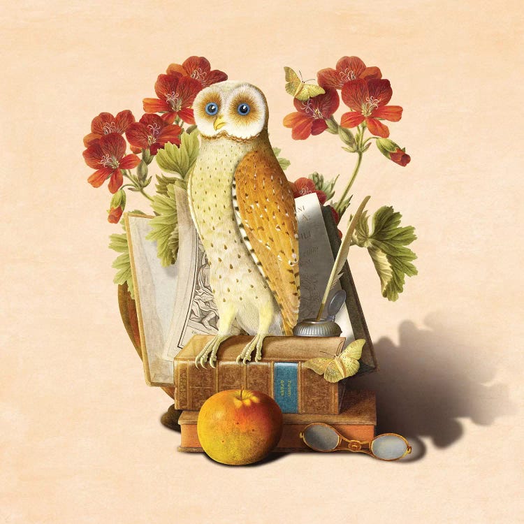 Apprentice Owl by Diogo Verissimo wall art