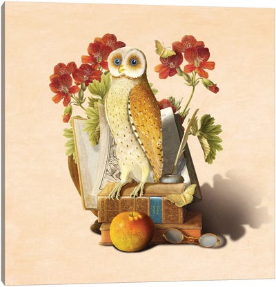 Apprentice Owl Canvas Art Print - Diogo Verissimo