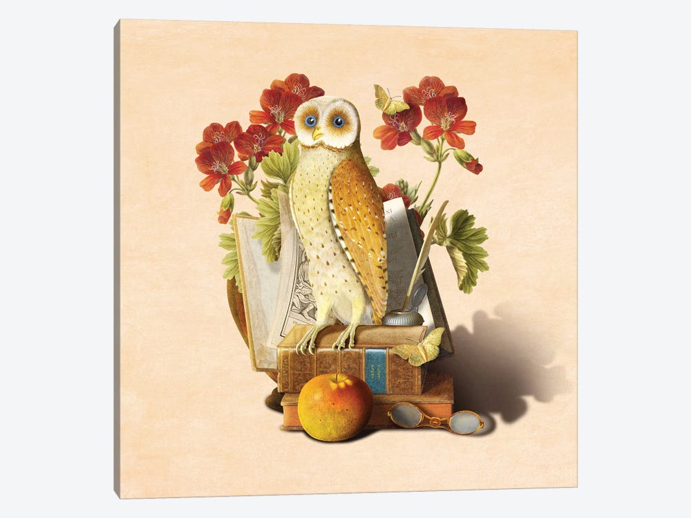 Apprentice Owl by Diogo Verissimo 1-piece Art Print