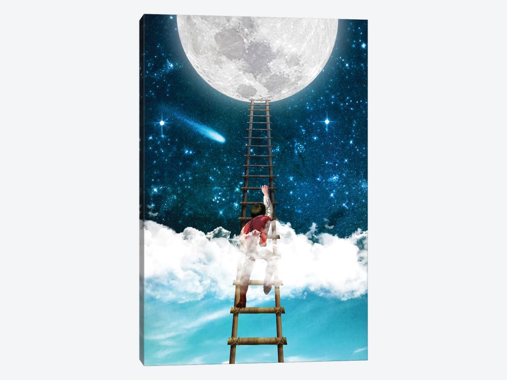 Reach For The Moon I by Diogo Verissimo 1-piece Canvas Art Print