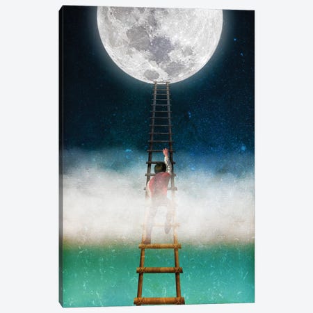 Reach For The Moon II Canvas Print #DVE52} by Diogo Verissimo Canvas Artwork