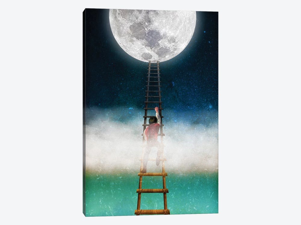 Reach For The Moon II by Diogo Verissimo 1-piece Canvas Wall Art