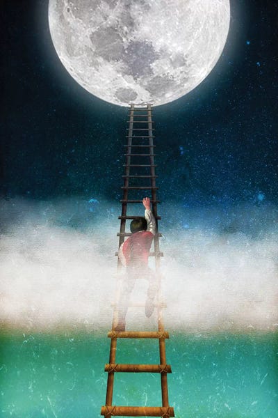 Imagination: Reach For The Moon II by Diogo Verissimo