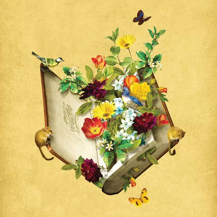 Secret Garden by Diogo Verissimo wall art