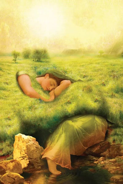 Spring Awakening by Diogo Verissimo framed wall art