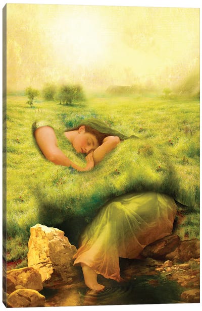 Spring Awakening Canvas Art Print - Sleeping & Napping Art