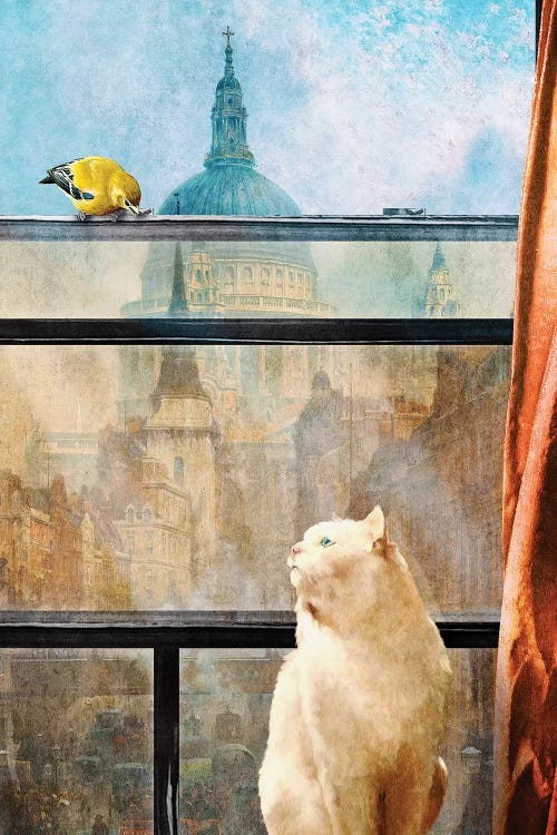 The Bird And The Cat by Diogo Verissimo wall art