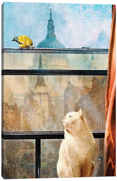 The Bird And The Cat Canvas Art Print - Diogo Verissimo