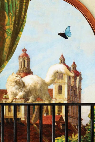 The Butterfly And The Cat by Diogo Verissimo framed wall art