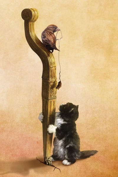 The Cat, The Bird, And The Mouse by Diogo Verissimo metal wall art