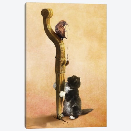 The Cat, The Bird, And The Mouse Canvas Print #DVE63} by Diogo Verissimo Canvas Print