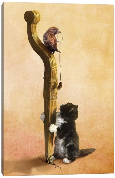 The Cat, The Bird, And The Mouse Canvas Art Print - Diogo Verissimo