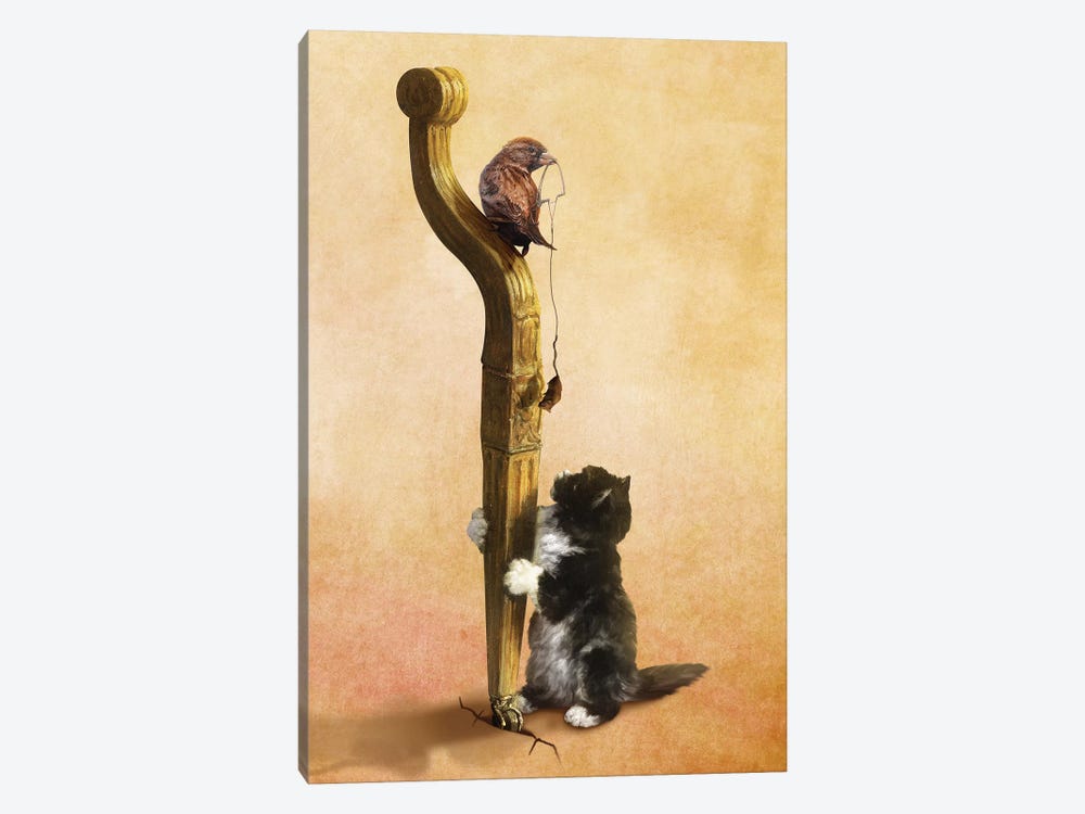 The Cat, The Bird, And The Mouse by Diogo Verissimo 1-piece Canvas Artwork