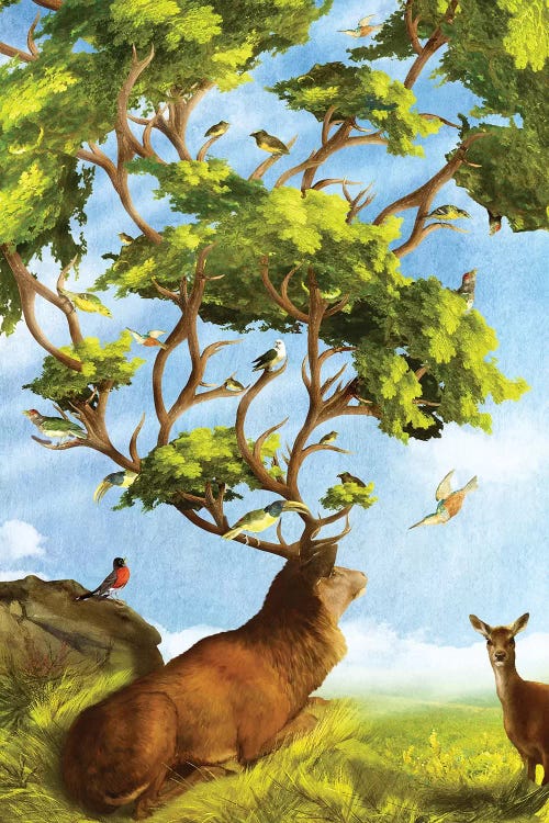 The Forest Of Songs by Diogo Verissimo canvas print
