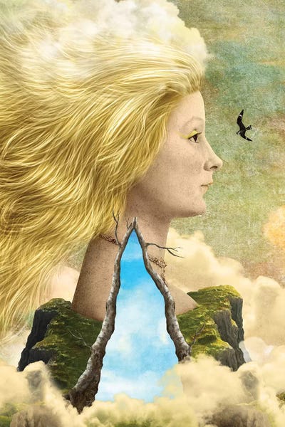 Aurora by Diogo Verissimo canvas print