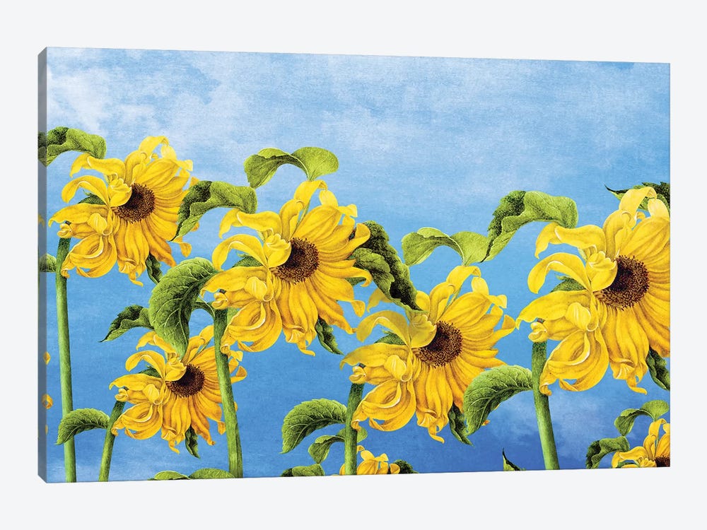 Where The Sunflowers Grow by Diogo Verissimo 1-piece Art Print