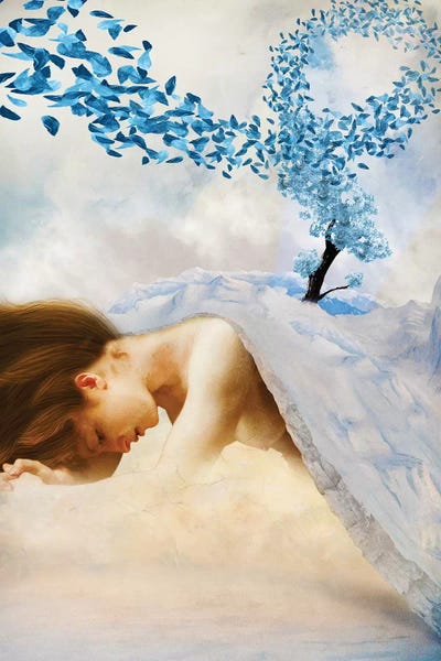 Winter's Mourn by Diogo Verissimo framed wall art