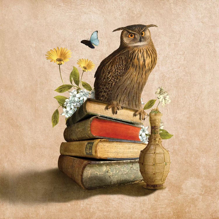 Wise Owl by Diogo Verissimo wall art