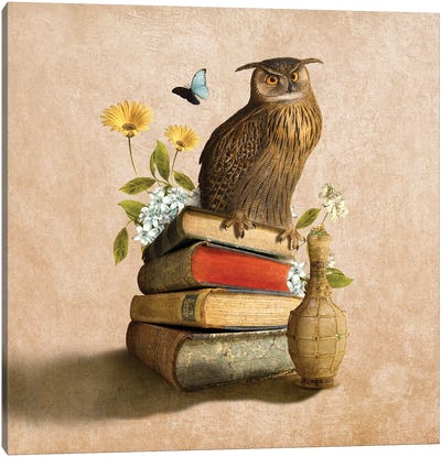 Wise Owl Canvas Art Print - Diogo Verissimo