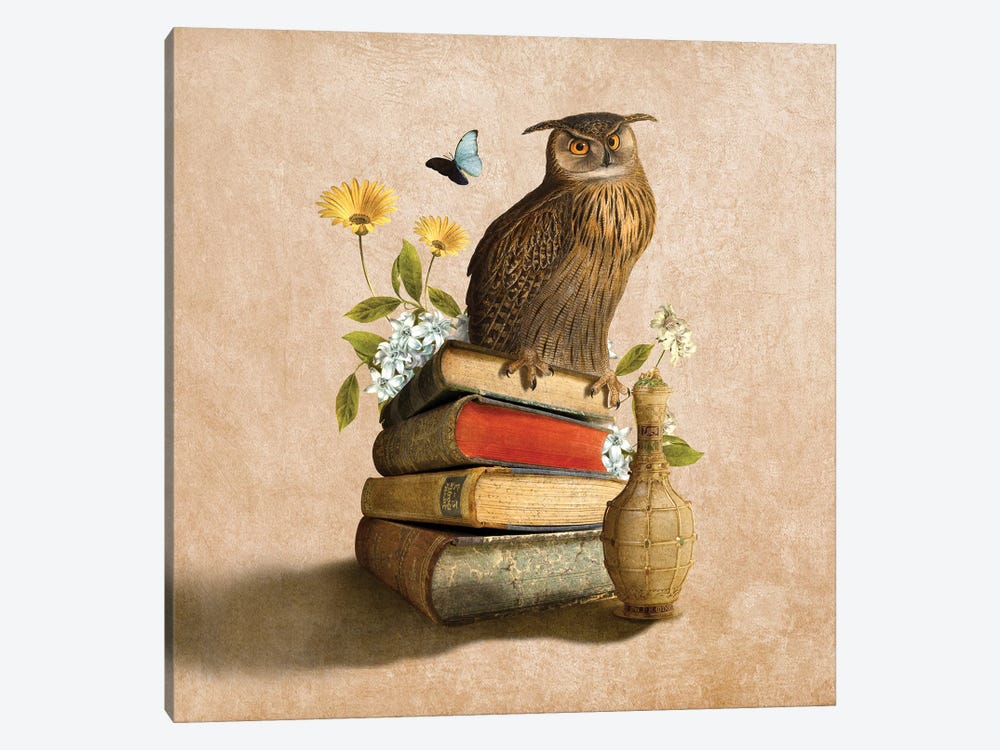 Wise Owl by Diogo Verissimo 1-piece Canvas Print