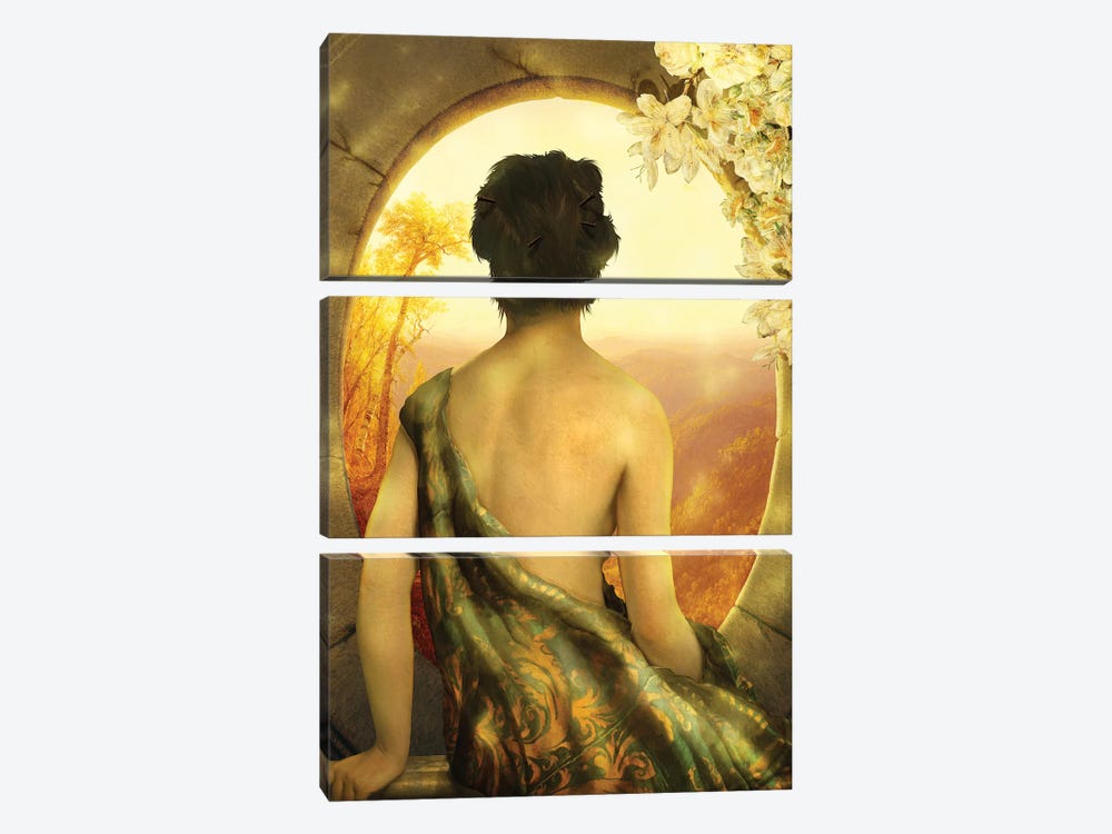 Golden Sunset by Diogo Verissimo 3-piece Canvas Art