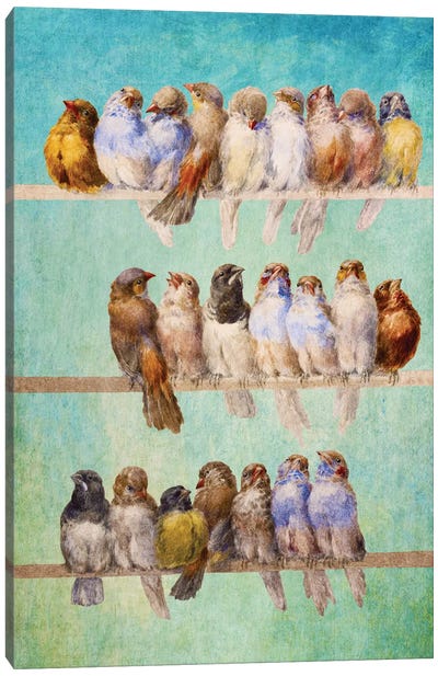 Birds Birds Birds Canvas Art Print - Diogo Verissimo