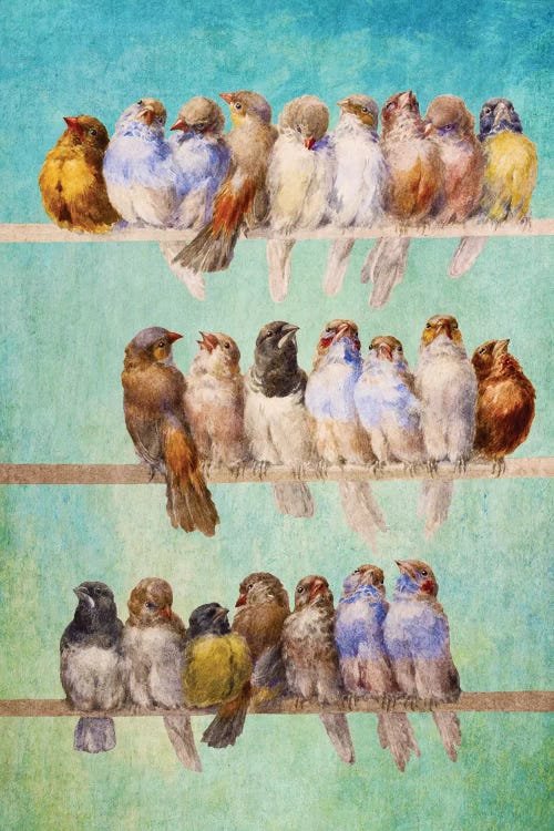 Birds Birds Birds by Diogo Verissimo wall art