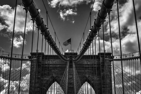 David Gardiner: Bridge Symmetry by David Gardiner