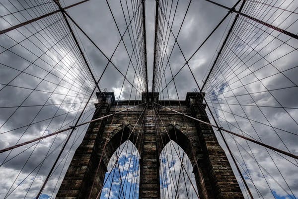 Brooklyn: Brooklyn Lines by David Gardiner