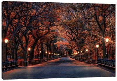 Central Park Fall Canvas Art Print - Trail, Path & Road Art
