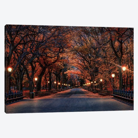 Central Park Fall Canvas Print #DVG105} by David Gardiner Canvas Artwork