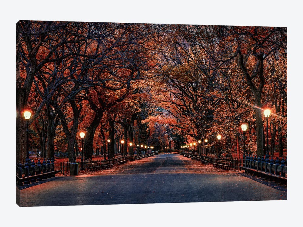 Central Park Fall by David Gardiner 1-piece Canvas Artwork