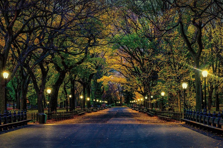 Central Park Magic by David Gardiner wall art